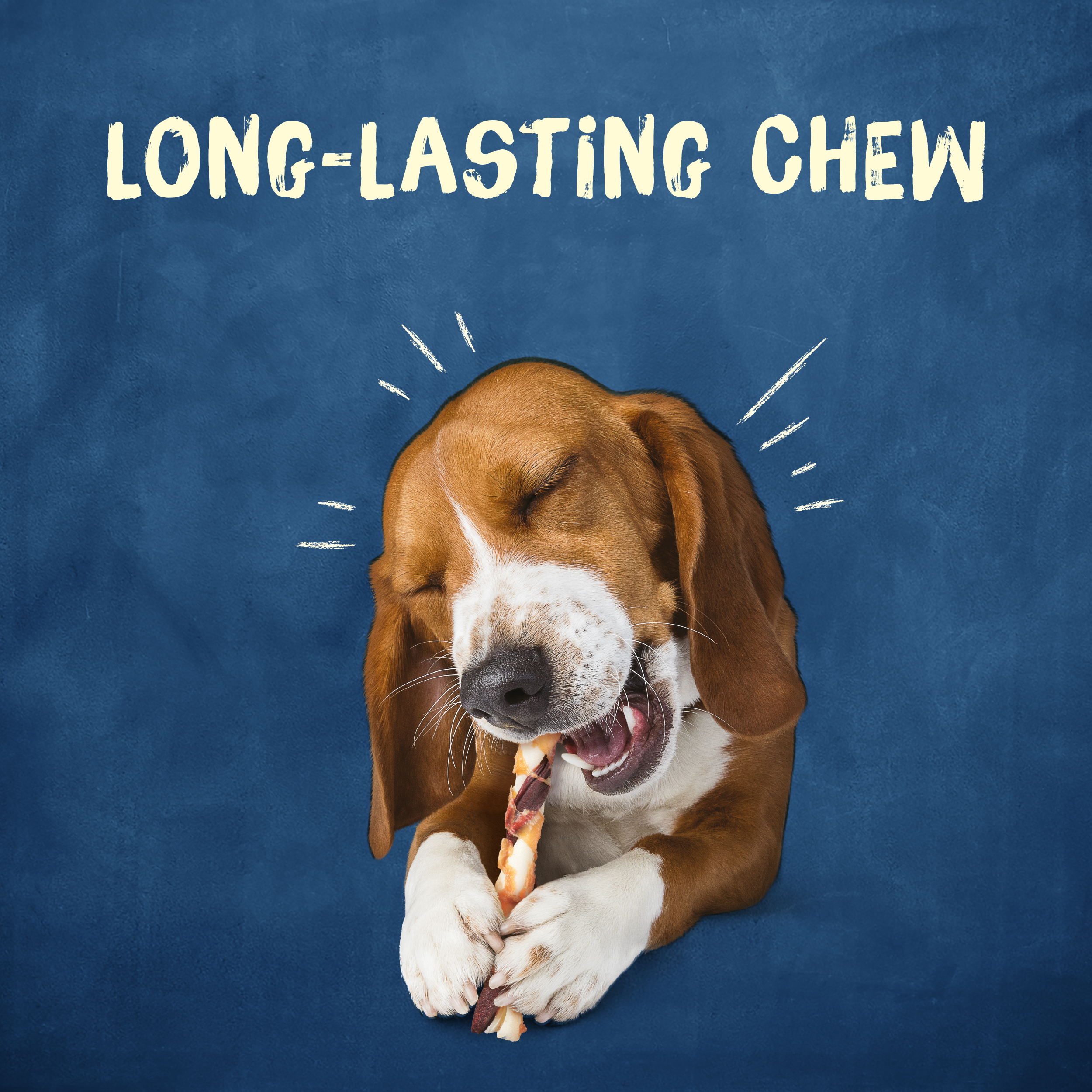 purina busy jerky wraps