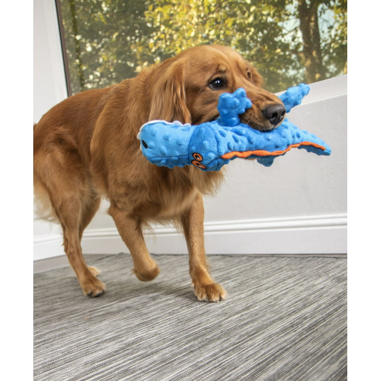 goDog Gators with Chew Guard Technology Durable Plush Squeaker Dog Toy,  Blue, Large 