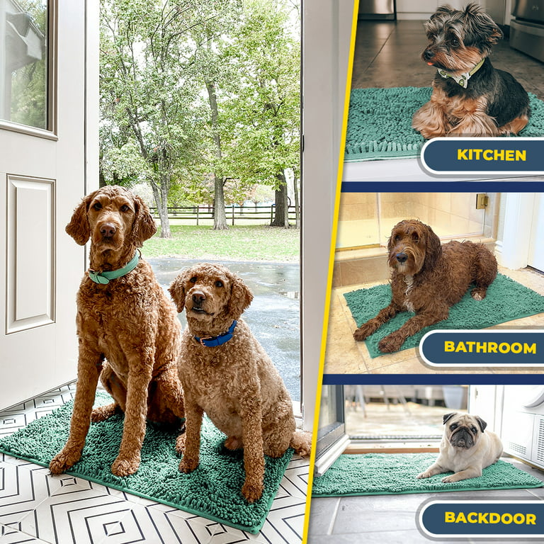  Muddy Mat® AS-SEEN-ON-TV Highly Absorbent Microfiber Door Mat  and Pet Rug, Non Slip Thick Washable Area and Bath Mat Soft Chenille for  Kitchen Bedroom Indoor and Outdoor - Seafoam Green Small