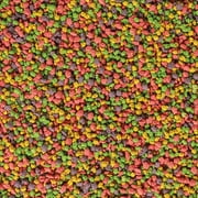 Kaytee Exact Rainbow Cockatiel Bird Food Seet 3 lb