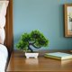 thumbnail image 4 of unbranded 1Ud Bonsái Pino Simulado Verde Potted Planta Decorativa Duradera Y, 4 of 6