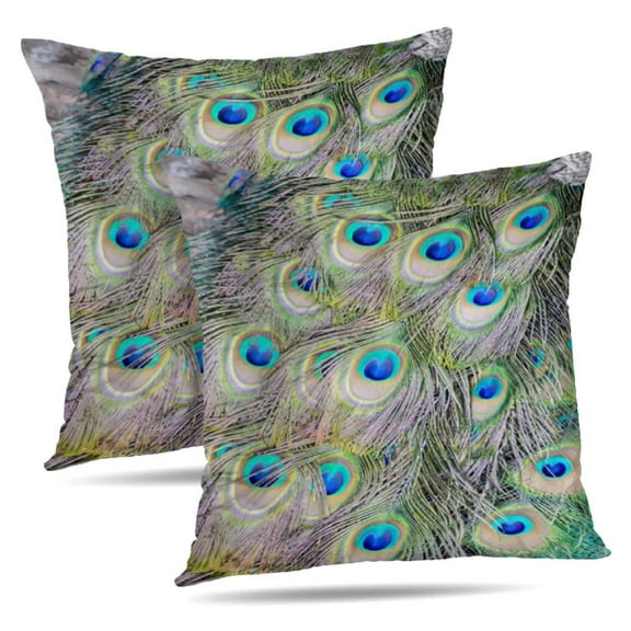 LALILO Throw Pillow Covers Peacock With Feathers City Portugal Cushion Cover 18" x 18", 1005 Pack