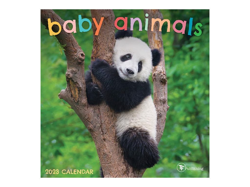 TF Publishing - Calendar - wall mount - 2023 - baby animals - month to view - mini - 7.01 in x 7.01 in - dated