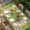 Emerald Green, variant on Pink Happy Easter Table Cloths for 4 Foot Rectangle Tables, Spring Easter Eggs Floral Wooden Patio Waterproof Elastic Fitted Tablecloths, Washable Rectangular Table Cover for Camping
