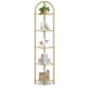 thumbnail image 1 of VASAGLE Estantería Esquinera de 5 Niveles, Librería, Estantería para Baño, Soporte para Plantas, Vidrio Templado, Moderno, para Salón, Cocina, Dorado Metálico, 1 of 5