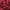 Wine, variant on Clearance!FNGZ Artificial Clearance 100PC Silk Artificial Flower Rose Petals Wedding Party Decorations Red