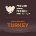 thumbnail image 5 of Wellness CORE Dry Dog Food, Grain Free, High Protein, Natural, Original Turkey & Chicken Recipe, (12-Pound Bag), 5 of 9