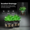 thumbnail image 3 of VIVOSUN 5-Pack 7 Gallon Visible Potato Grow Bags, Thick Fabric Potato Pots with 360° Visibility & Harvest Window, Potato Growing Containers Potato Planter Potato Planter for Growing Potatoes, Black, 3 of 9