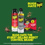 Raid Wasp & Hornet Killer Spray, 22 Ft Jet Spray Nest Killer, Outdoor, 17.5 oz