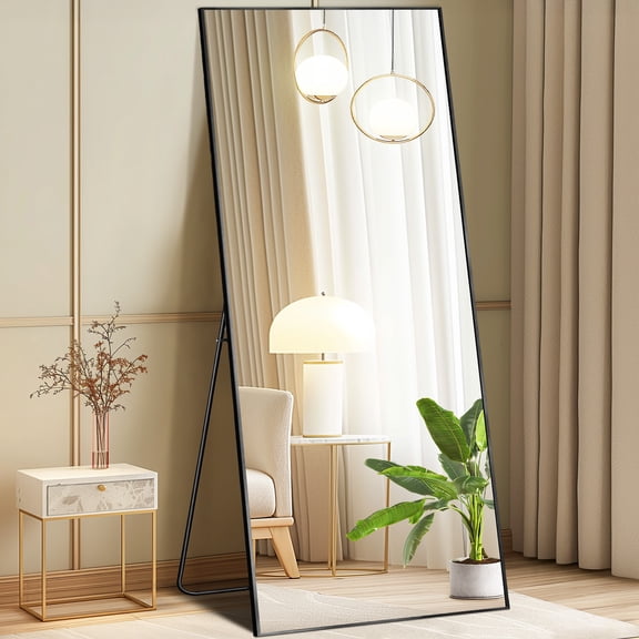 CONCETTA 71"x28" Rectangle Full Length Mirror, Full Body Standing Mirror Floor Mirrors,Black