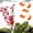 E, variant on Artificial Aquarium Plants – 7.78 Inch Plastic Fish Tank Décor – Low Maintenance, Aquarium Decoration – Adds Color to Your Tank, Perfect for Home & Aquarium Use, A
