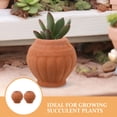 thumbnail image 6 of MLINS  2 Pcs Rustic Planter Small Pots Miniature Tiny Clay Terracotta Red, 6 of 7