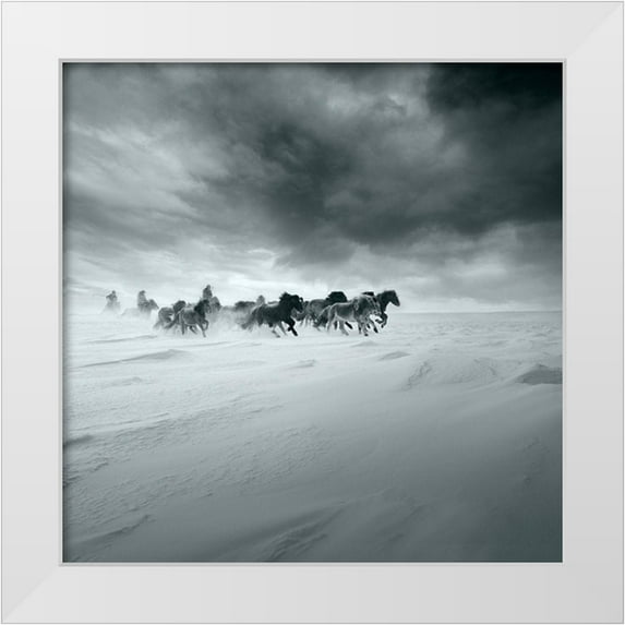 Yang, Shu-Guang 12x12 White Modern Wood Framed Museum Art Print Titled - Snowy field