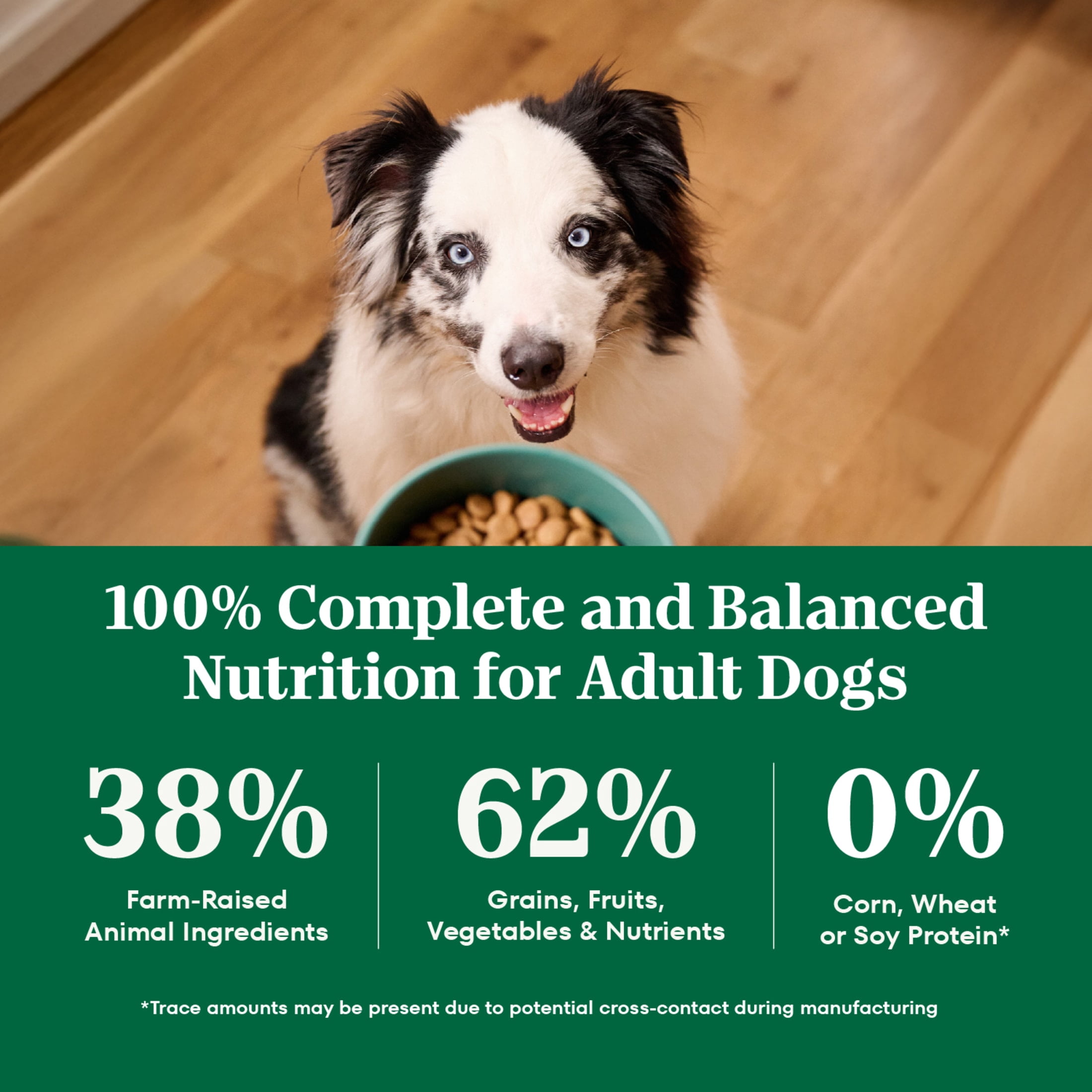 Nutro Natural Choice Adult Dry Dog Food Recipe Salmon & Brown Rice, 28 Lb Bag