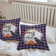 thumbnail image 4 of Outdoor Waterproof Pillow Covers Halloween Black Crow Pumpkin Wreath Decorative Throw Pillow Protectors,Purple Buffalo Lattice Pillowcase Cushion Cases for Patio Sofa Garden Couch,18x18in,Pack of 2, 4 of 9