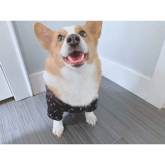 Soft Dog T-Shirt/ Cotton Small Cute Pet Clothes (Black Geometry, Flag Pattern)