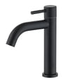 thumbnail image 1 of Black Sink Faucet Bathroom Counter Faucet Single Cold Water Stainless Steel Single Hole, 1 of 5