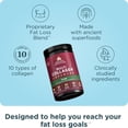 thumbnail image 3 of Ancient Nutrition Advanced Hydrolyzed Collagen Peptides Powder Protein Lean with Probiotics and Vitamin C, Cinnamon, for Women & Men, Supports Healthy Weight Management & Muscle Building, 14 Servings, 3 of 5