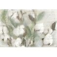 thumbnail image 2 of Kimberly, Allen 18x13 Black Ornate Wood Framed with Double Matting Museum Art Print Titled - Cotton B, 2 of 4