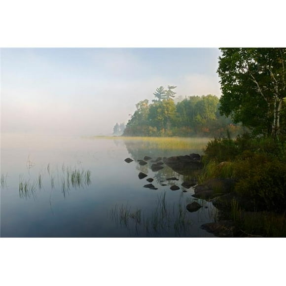 Panoramic Images PPI102900L Shoreline Trees & Grasses Along Nina Moose Lake Fog Boundary Waters Canoe Area Wilderness Minnesota USA Poster Print, 36 x 12