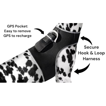 Realtime Small GPS Pet Tracker Waterproof GSM GPRS Precise Tracking Size:XL