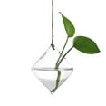 SWFSZGL Home Products Hanging Glass Ball Vase Flower Plant Pot