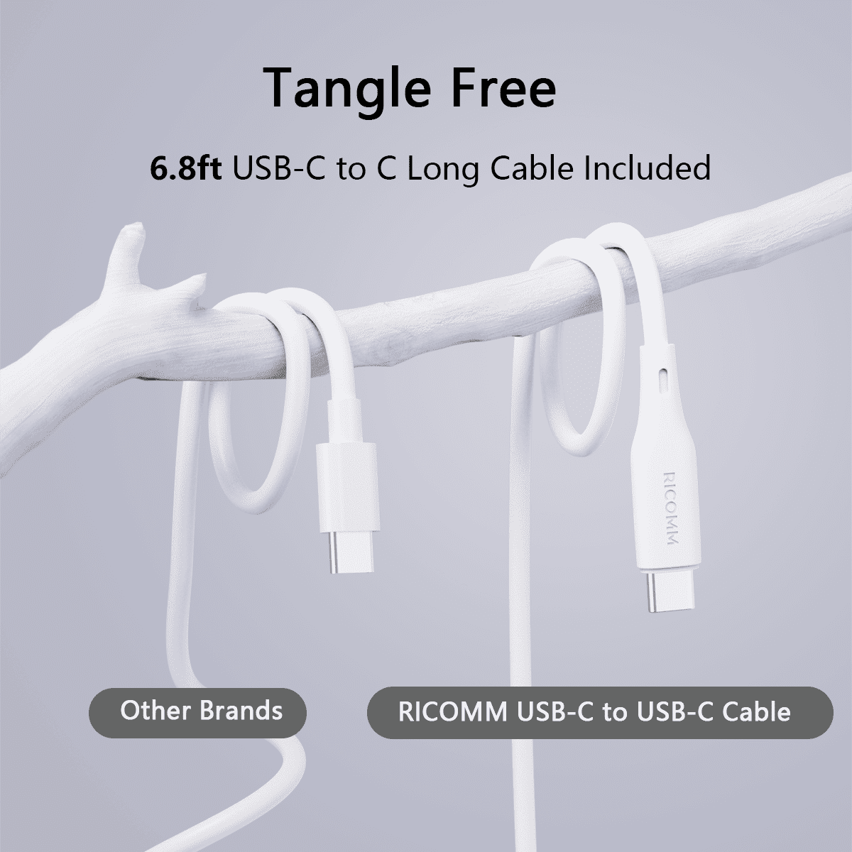 USB C Charger 65W, RICOMM GaN PPS Fast Charger Adapter Kit (Soft Silicone Cable Included) Travel Wall Charger Foldable Plug for MacBook, iPhone Pro Max, iPad, AirPods, Samsung Galaxy S22/S20/S10