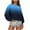 Blue, variant on DAFPZW Sweatshirt for Womens Fashion Casual Crew Neck Long Sleeve Pullover Fall Ombre Print Ladies Oversized Tops
