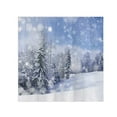 thumbnail image 2 of Shower Curtain,Merry Christmas Shower Curtains For Bathroom Polyester Fabric Winter Xmas Tree Shower Curtain Set Machine Washable Bathroom Decor, 2 of 7
