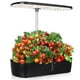 thumbnail image 1 of 1 Juego de sistema de cultivo hidropónico, sistema de jardinería interior, sistema de cultivo acuapónico con enchufe estadounidense, 1 of 5