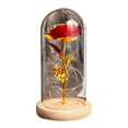 thumbnail image 1 of EIMELI Everlasting Artificial Flower with Glass Cover Romantic LED Lights Home Decoration for Valentine‘s Day, 1 of 8
