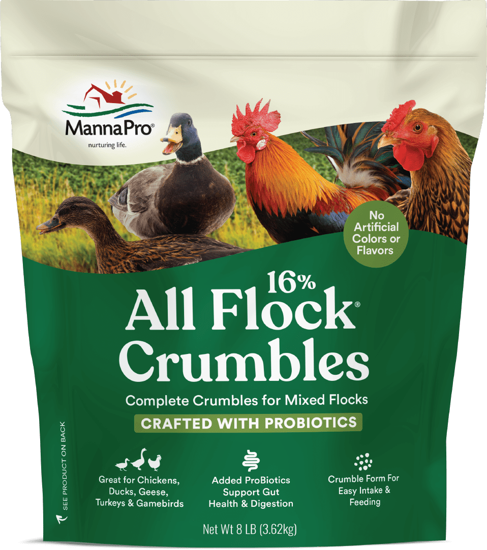 Manna Pro Family Farm Medicated Chick Starter Crumble Chicken Feed 50 lbs. 