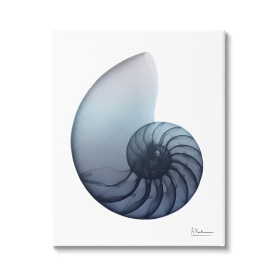 Stupell Industries Contemporary Nautilus Shell Abstract Photography Gallery Wrapped Canvas Print Wall Art, 16 x 20