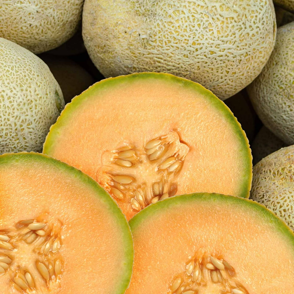 Cantaloupe Melon Garden Seeds 3 g Packet 80 Seeds NonGMO