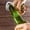 D, variante sur TIMIFIS Décorations de Noël Ouvre-Bouteille Motif Arbre de Noël Ouvre-Bouteille en Acier Inoxydable Démarreur de Bière Multifonctionnel Aimant en Silicone pour Réfrigérateur
