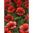 thumbnail image 2 of Popp, Grace 15x18 White Modern Wood Framed Museum Art Print Titled - Poppies at Midnight I, 2 of 4