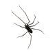 thumbnail image 5 of Decoración de calcomanías para el refrigerador de araña para decoración del exterior del refrigerador al aire libre accesorio de cocina para la cocina, 5 of 9