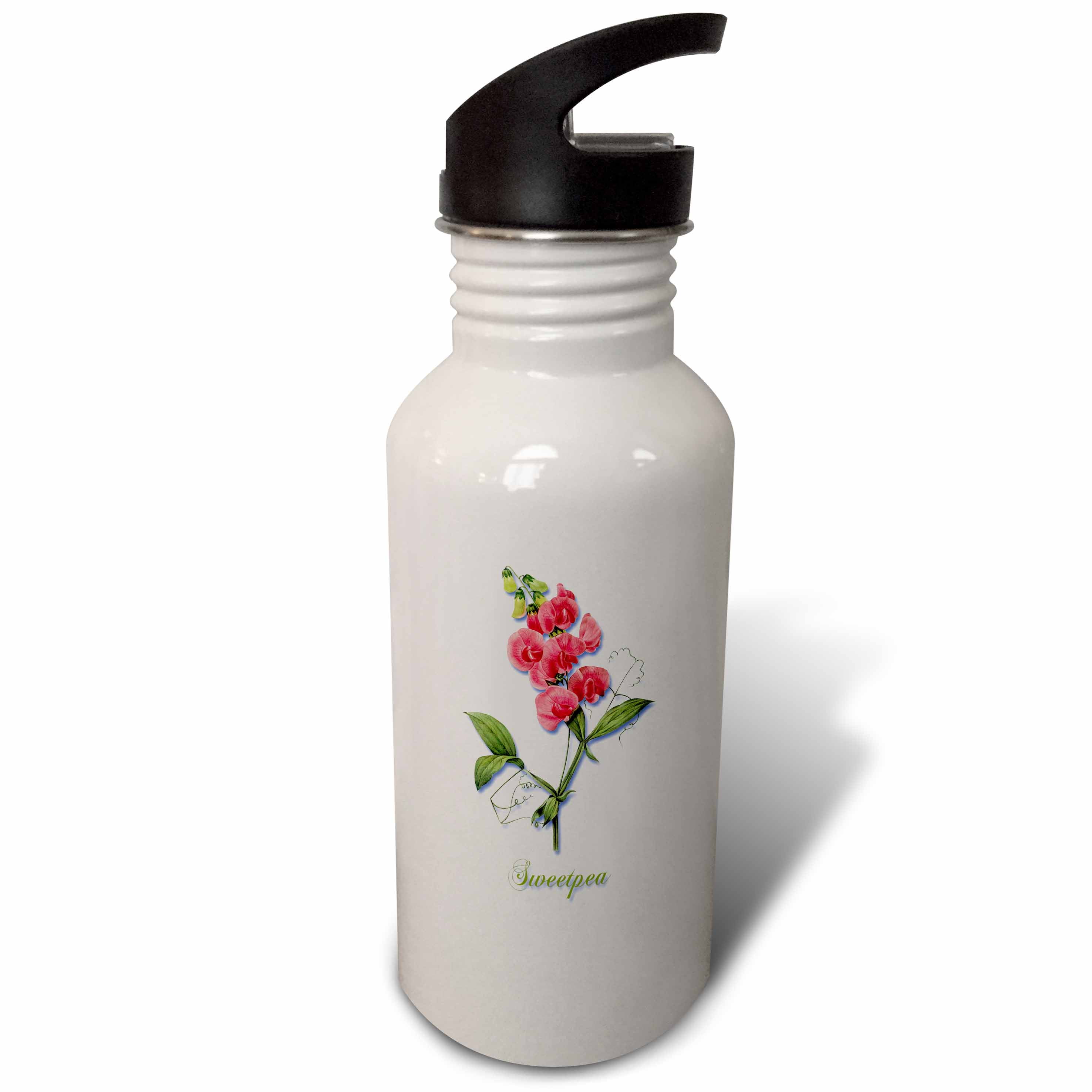 Red Vining Annual Sweetpea Botanical Print 21 oz Sports Water Bottle wb