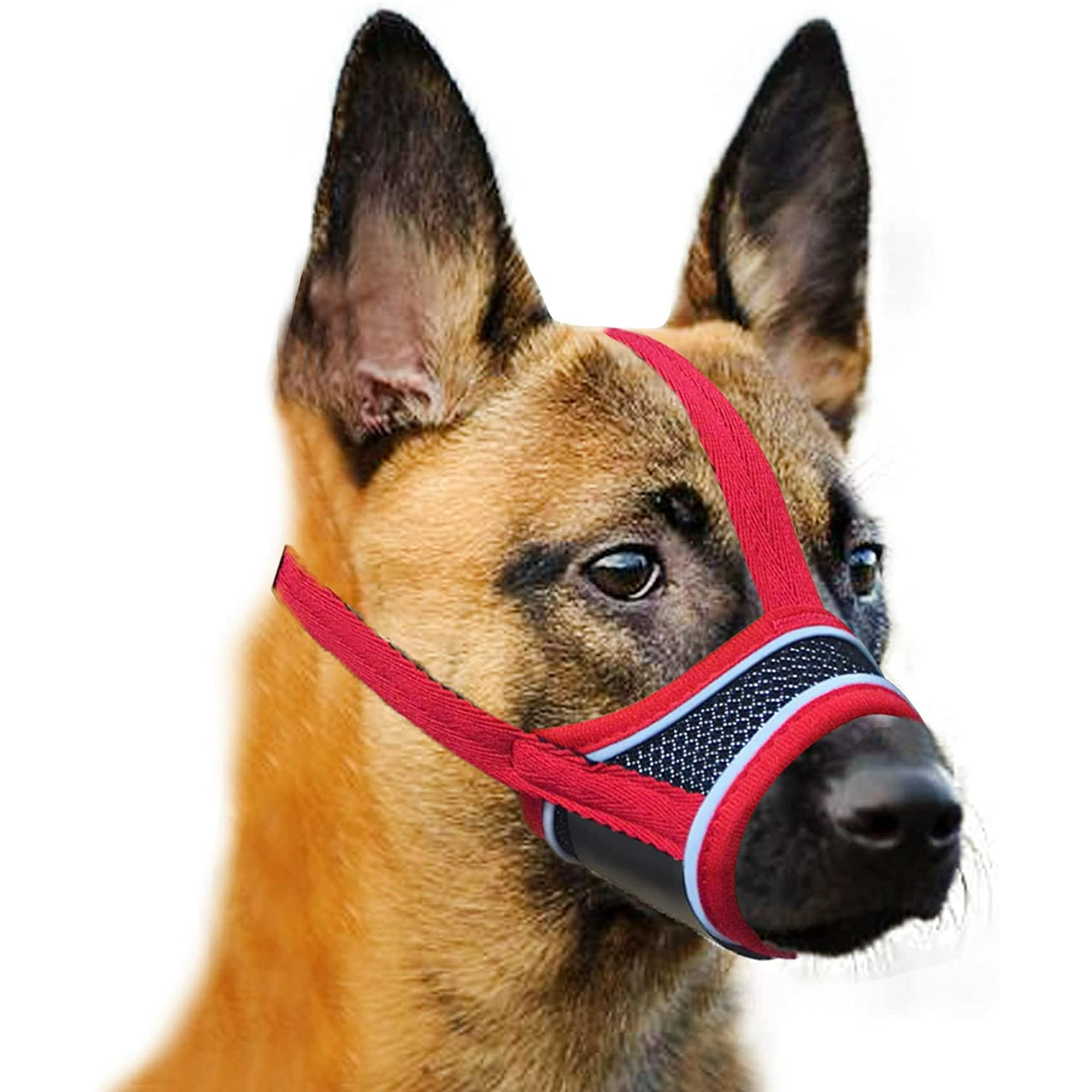 Should You Muzzle A Biting Puppy