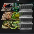 thumbnail image 1 of 10Pcs Reptiles Feeding Container Transparent Viewing Feeding Box Acrylic High-Strength Insect Supplies Raising Boxes Household Pet Food Storage White, 1 of 8