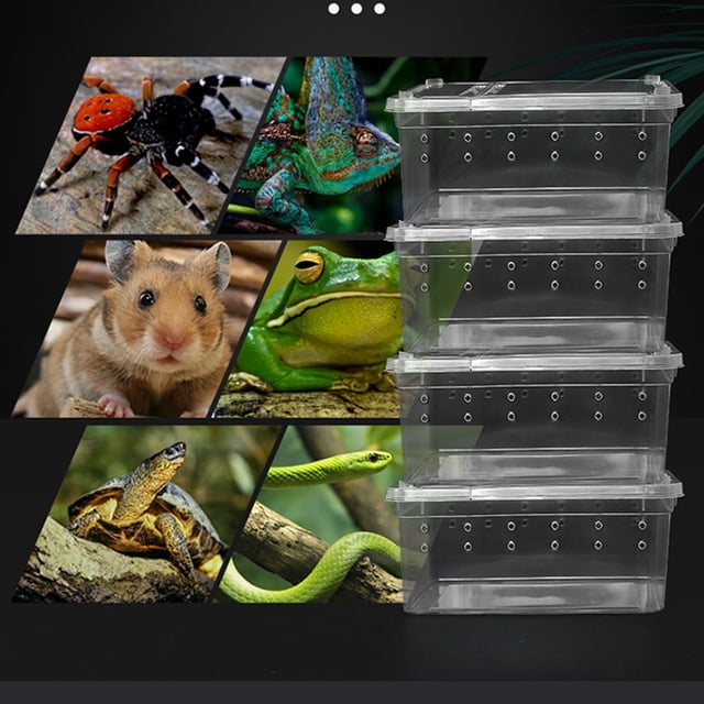 10Pcs Reptiles Feeding Container Transparent Viewing Feeding Box Acrylic High-Strength Insect Supplies Raising Boxes Household Pet Food Storage White