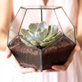 thumbnail image 3 of Plant Container Geometric Shape Plant Planter, Flowerpot, Succulents for Flower Shop Garden Home, 3 of 7