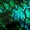 Green Teal, variant on Castle Fairy Snake Print Black Out Curtains,Gradient Curtains Pack of 2 (42x63 Each)