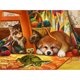thumbnail image 1 of Pintura de diamante 5D DIY, kit completo de taladro redondo para gatito y cachorro, decoración del hogar, 40x30cm, 1 of 9