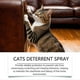 thumbnail image 4 of Cat Deterrent Spray, Stops Cats from Peeing & Scratching, Lemon & Coptis, Safe for Furniture 100ml, 4 of 5