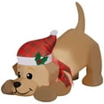 thumbnail image 1 of Christmas Airblown Yellow Lab, 1 of 6
