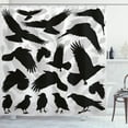 thumbnail image 1 of Ambesonne Black Crow Shower Curtain, Birds and Feathers, 69"Wx84"L, Black Pale Grey, 1 of 3