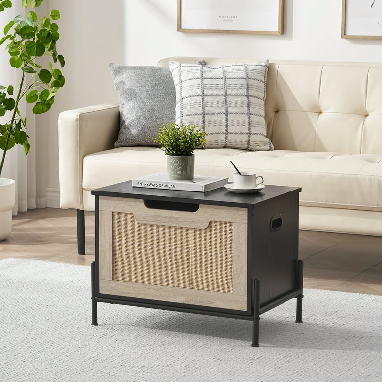 Storage with cushion top hotsell