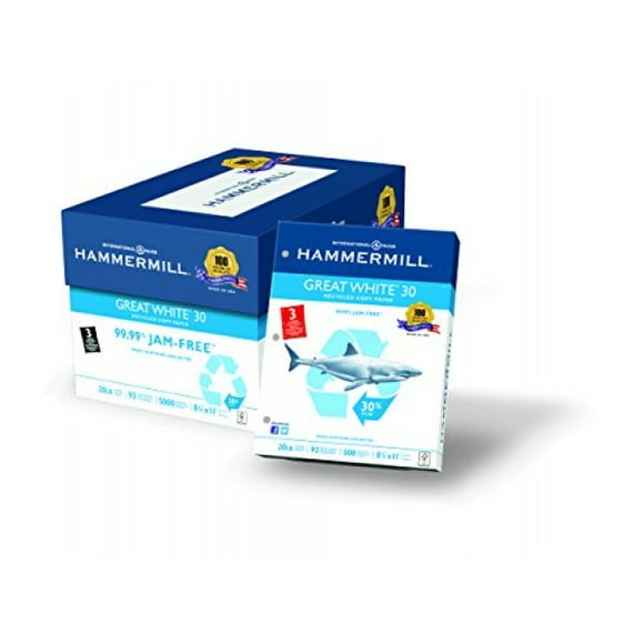 Hammermill Printer Paper, Great White 30% Recycled Paper, 3 Hole - 10 Ream (5,000 Sheets) - 92 Bright, Made in the USA, 086702C