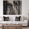 thumbnail image 4 of Design Art - Rayons de Soleil à Travers la Forêt Blanche Noire, 4 of 5